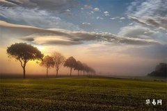 Dreaming of Being Attacked by a Demon