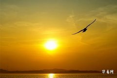 What time is You hour, is it good for those born in the Year of the Tiger to be born during You hour?