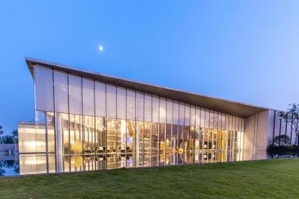 Dreaming of a House Collapsing