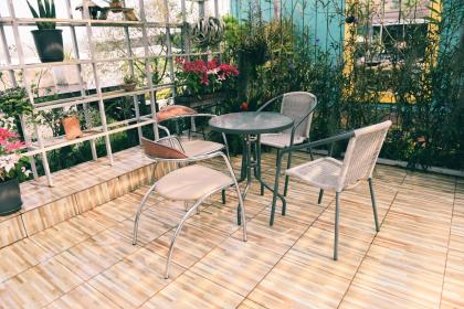 Proper Placement of Plants in the Living Room for Wealth Attraction