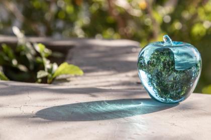 Pregnant Woman Dreams of a Green Apple