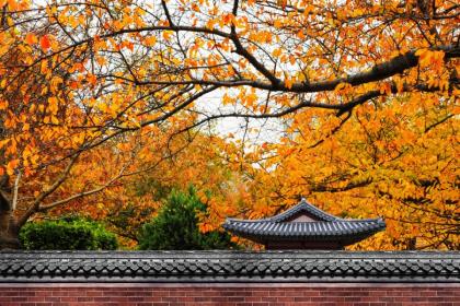 What time and minute is the exact moment of Xiaoshu on the Xiaoshu solar term?