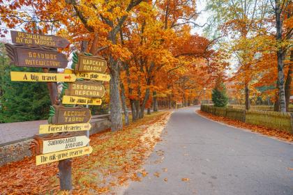 Dreaming of Road Signs
