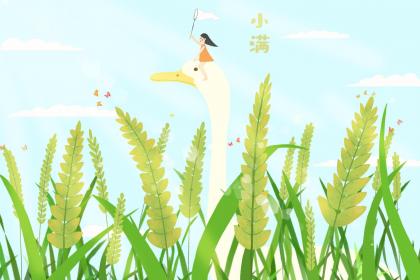 Is a baby born at Xiao Man a good one? Is the fate good?