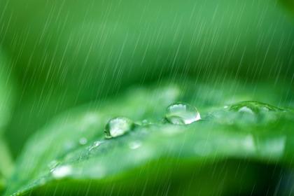 What is the significance of Mangzhong? What time does the Mangzhong solar term occur?