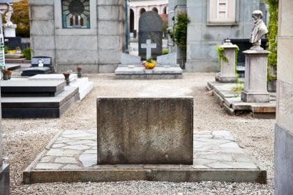 Virgo's Attitude Toward Children's Requests for Plastic Surgery