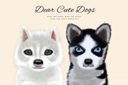 What is the fate of those born in December 1970 under the Chinese zodiac Dog? Will they have good fortune in old age?