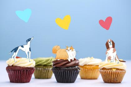 Is it good for a man born in the Year of the Dog to marry a woman born in the Year of the Dog? What should be avoided when dating someone born in the Year of the Dog?