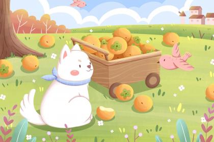 Dreaming of a Simple House