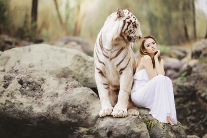 Are White Tiger Women Really Inauspicious for Their Husbands?