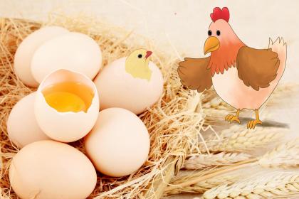 What Flower Reveals the Personality of People Born in the Year of the Rooster