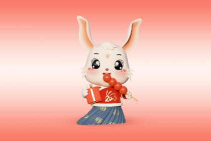 Which Character Would a Person of the Rabbit Enter as in One Piece