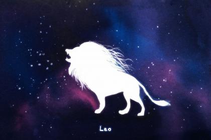 Leo's Most Proud Characteristics