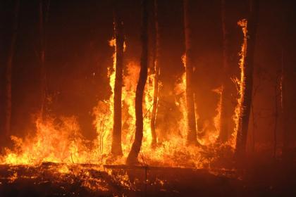 Dreaming of a Big Fire