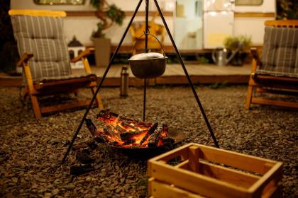 How Important Are Friends to You