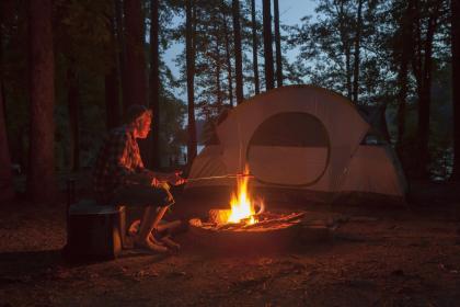 Complete List of Girl Names with Wood and Water Elements, Names for Girls Missing Wood and Water in Their Five Elements