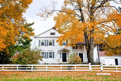 The Do's and Don'ts of Raising Flowers and Plants for the 12 Chinese Zodiac Signs