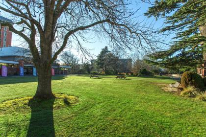 What kinds of wood are there in Wood Destiny? How to distinguish these different Wood Destinies?