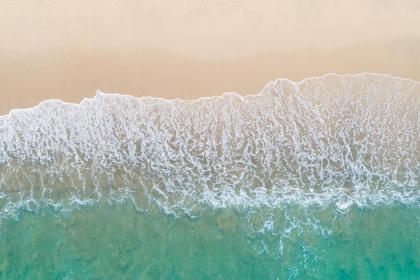 Dreaming of Ocean Waves