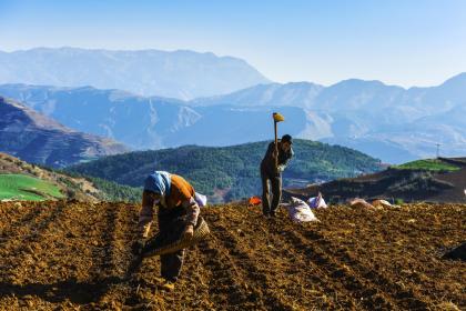 What element is missing for boys born in the Zi hour? How to accurately calculate the BaZi for the Zi hour?