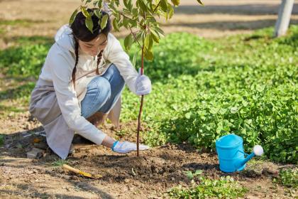 Analyze Life Destiny and Personality Based on Lunar Birthday: Interpretation for Those Born in the Ninth Lunar Month