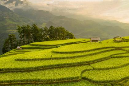 Find Out What Work Environment Suits You Best