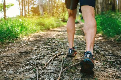 Life Line rises from the Venus Mound: